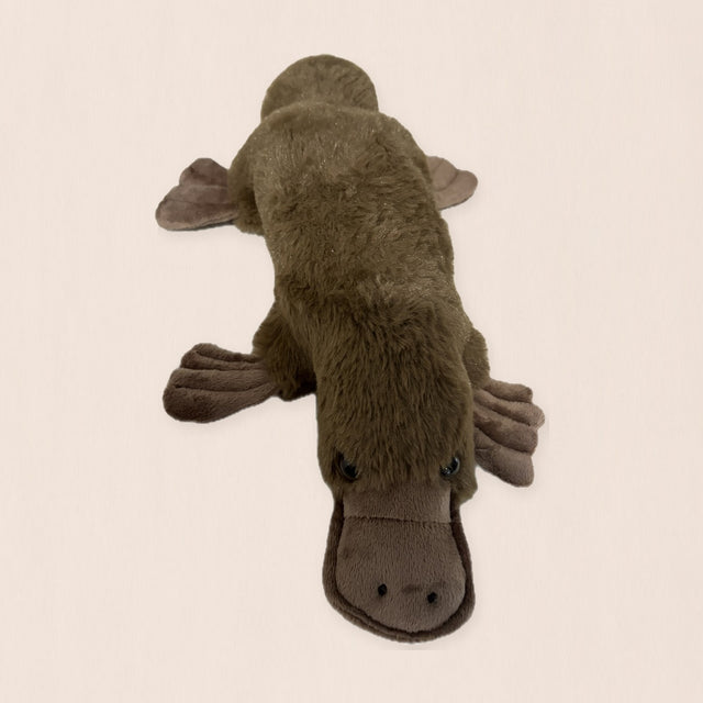Large Platypus plush, from above with the bill toward the viewer